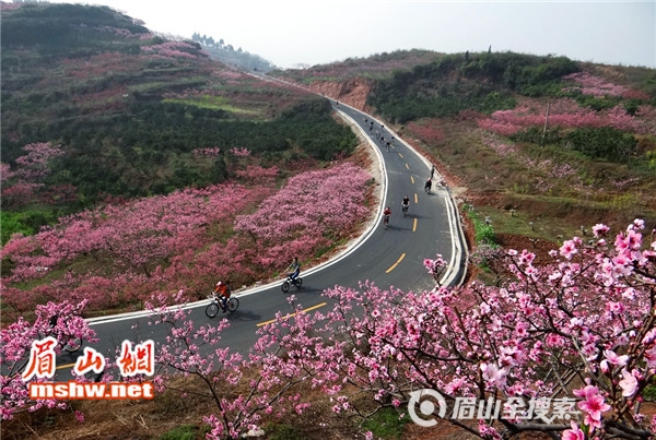 随着短线游,自驾自助游,家庭游的日渐升温,丹棱桃花源景区