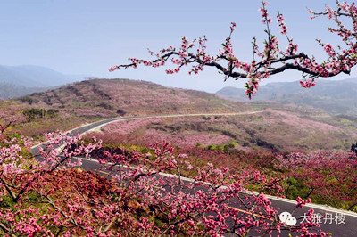 结伴出游 > 列表  丹棱·桃花源距丹棱县城8公里,景区面积约25