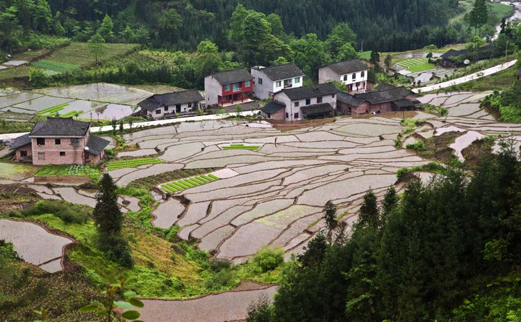 瓦屋山鎮(zhèn)介紹