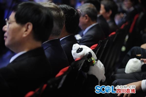 四川将每年面向全球招募100名大熊猫文化推广使者