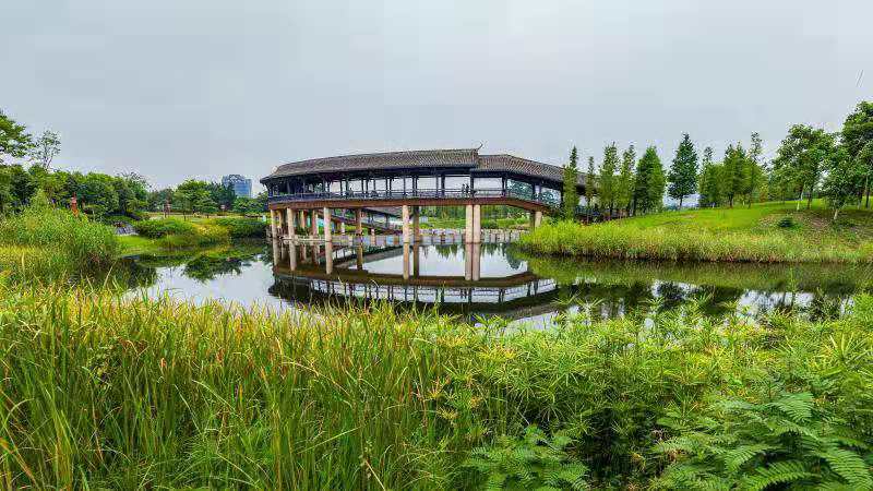 《公園美容師》《碧水連天東坡湖》《秋日東坡湖》—李榮華 【攝影師每日一圖贊眉山】