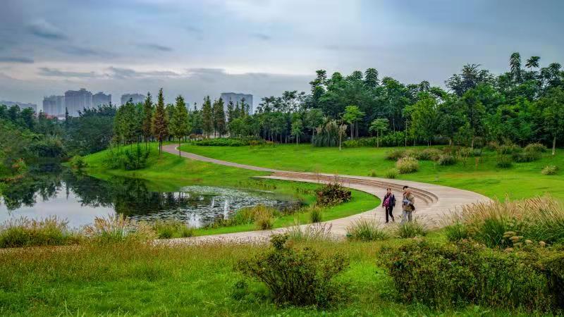 《濕地公園秋意濃》《東坡島上的歡笑》李榮華等作品欣賞【攝影師每日一圖贊眉山】 